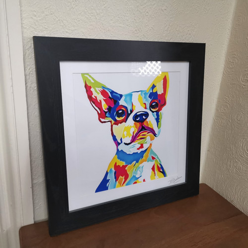 French bulldog frenchie - bulldog,