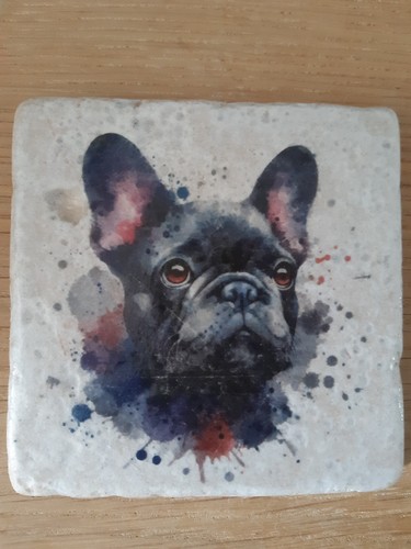 French bulldog single stone - french,