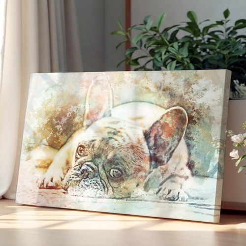 Fawn french bulldog dog - french, in
