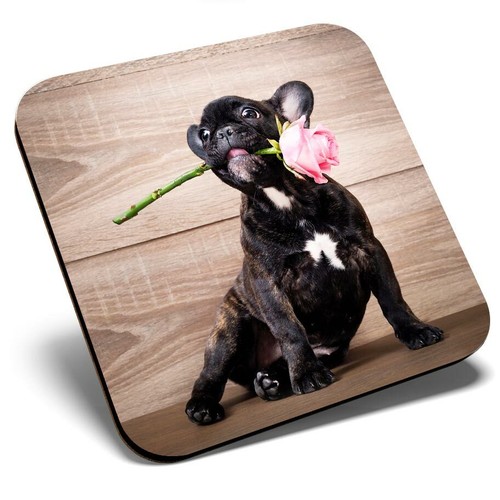 Square single coaster french - square,