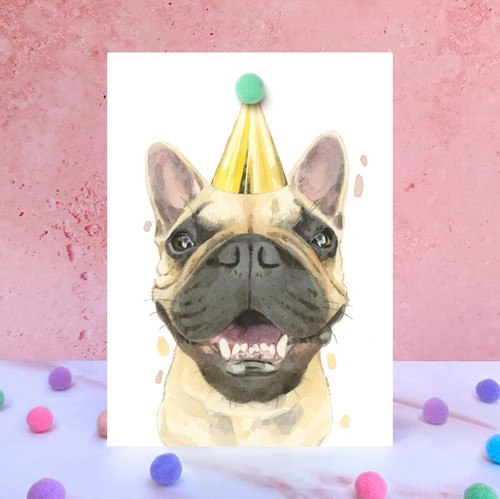 Single pom french bulldog - single,