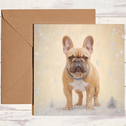 French bulldog snow - bulldog,