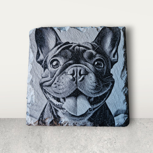 French bulldog collection - french,