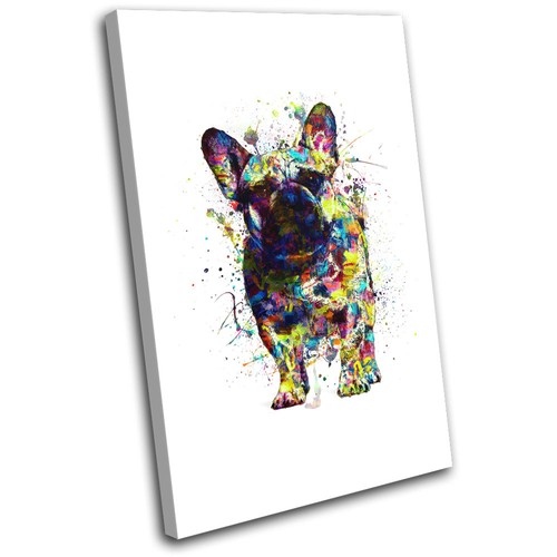 French bulldog dog colourful - dog,