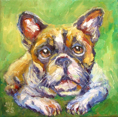 French bulldog original oil - french,