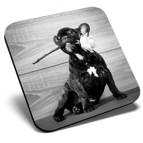 Square single coaster - single, bw