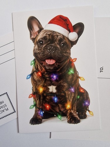 Brindle french bulldog dog - brindle,