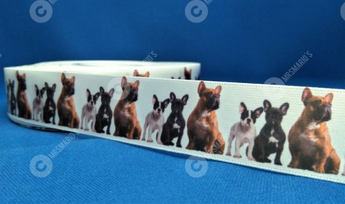 French bulldog pet - french, design