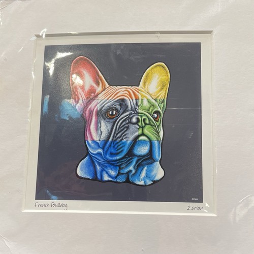 Zorian french bulldog pop art - french,