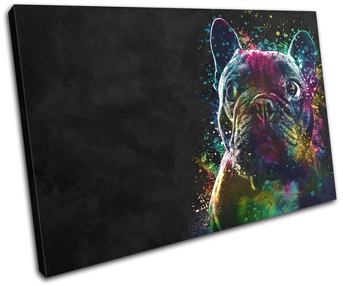 Colourful cute french - colourful, bulldog