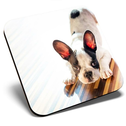 Square single coaster - square,