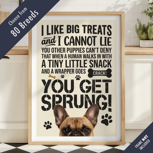 Funny dog treats - funny, lyric