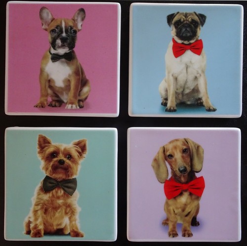 One single ceramic coaster pug - one,