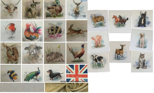 Chatham glyn animal - glyn,