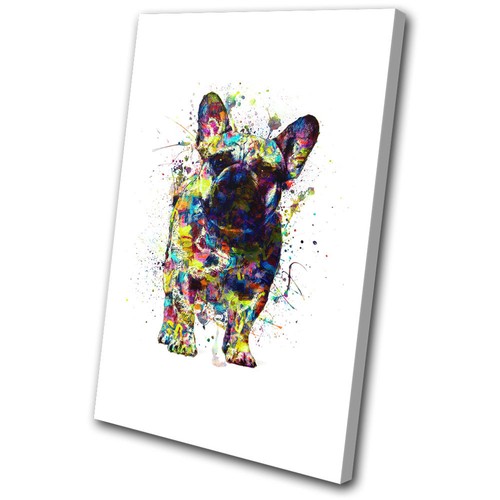 French bulldog dog colourful - dog,