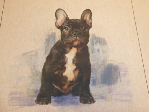 French bulldog linen look - bulldog,