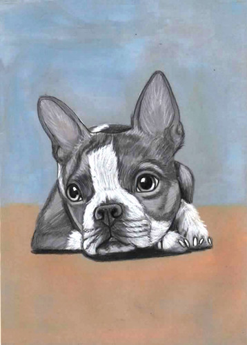 Original color pencil artwork