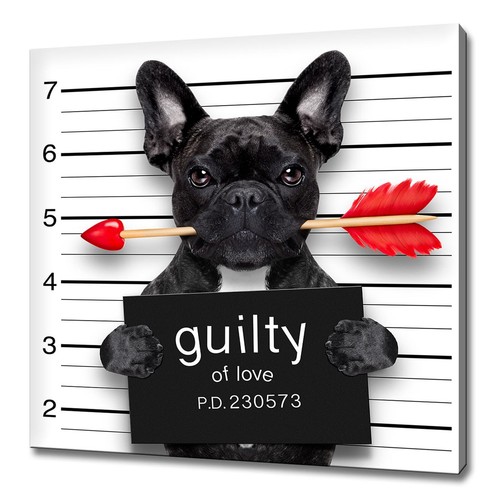 French bulldog dog with - bulldog,