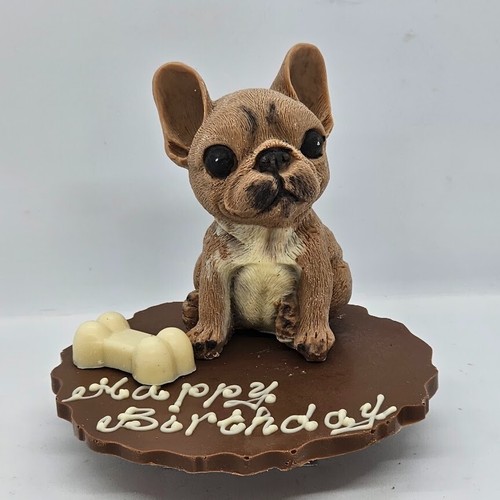 Chocolate french bulldog - chocolate,